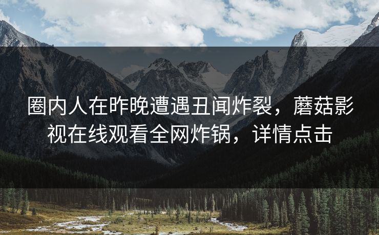 圈内人在昨晚遭遇丑闻炸裂，蘑菇影视在线观看全网炸锅，详情点击