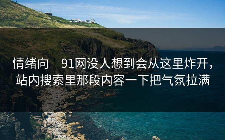 情绪向｜91网没人想到会从这里炸开，站内搜索里那段内容一下把气氛拉满