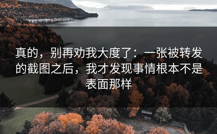 真的，别再劝我大度了：一张被转发的截图之后，我才发现事情根本不是表面那样